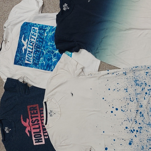 Hollister Other - Men's Hollister LOT - 9 tees, 2 cargo shorts 28-30, 1 sweatshirt - Medium